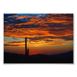 Fotografische afdruk-Zuidwestelijke Cactus Zonsond Foto Afdruk