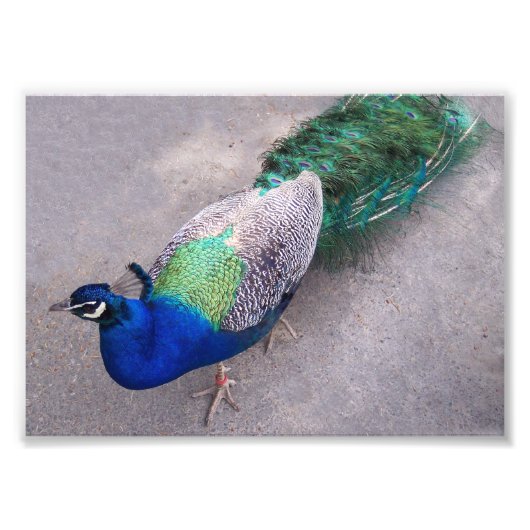 Fotografische afdrukken foto afdruk (Voorkant)