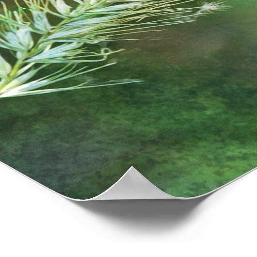 Fotografische foto's met groene kleuren poster (Hoek)