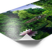 Fotografische foto's van Water Lily Foto Afdruk (Hoek)