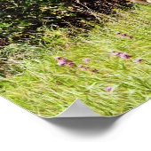 Fotografische foto's van Wilde en Sweet Deer Poster (Hoek)