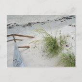 Fotografische foto's van zee Grass en White Sand D Briefkaart (Voorkant)