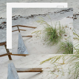 Fotografische foto's van zee Grass en White Sand D Briefkaart