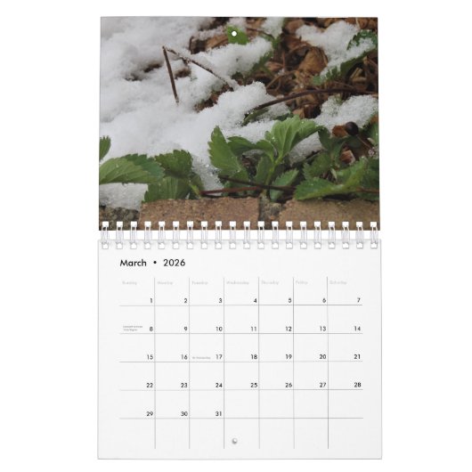 fotografische kalender (Mar 2026)