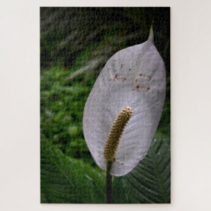 Fotografische kunst - Bloem in puzzel Legpuzzel