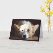 Fotografische kunst Corgi Kaart (Gele Bloem)