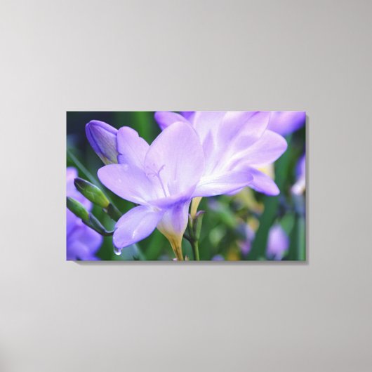 Fotografische kunst met een verweven stilstand canvas afdruk (Voorkant)