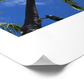 Fotografische kunst - Palmen op Waikiki Beach Post Poster (Hoek)