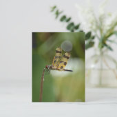 Fotografische Natuur Golden Dragonfly Briefkaart (Staand voorkant)