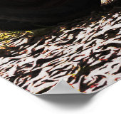 Fotografische Poster van oude vrachtwagen (Hoek)