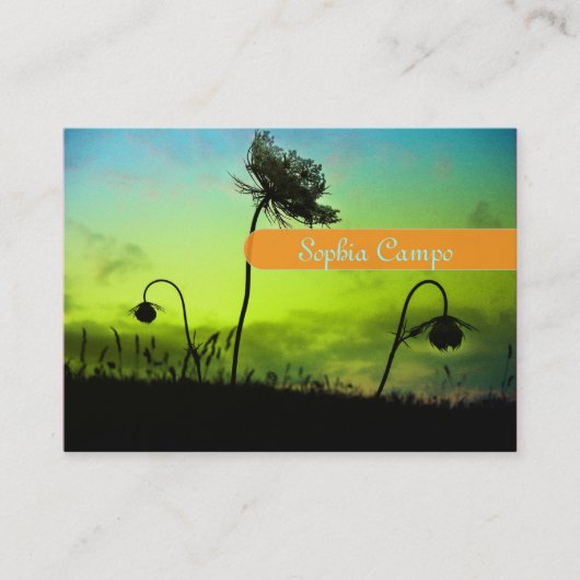 Fotografische visitekaartjes (Voorkant)