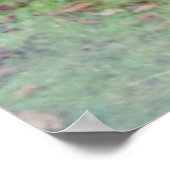 Fotografische zebra poster (Hoek)