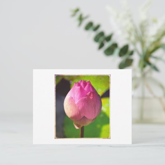 FOTOGRAPH BRIEFKAART "BUDDLOTUS" (Staand voorkant)