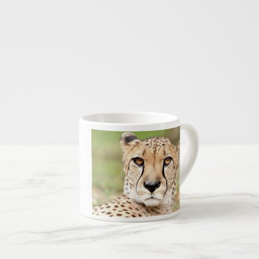 Fotoguepard , kat , dieren . espresso beker kop (Voorkant rechts)