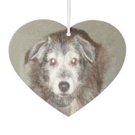 Fotohartvorm personaliseren luchtverfrisser