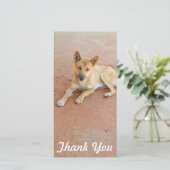 Fotokaart - Australische dingo Bedankkaart (Staand voorkant)