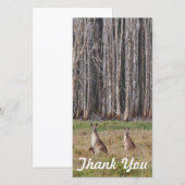 Fotokaart - Australische kangoeroes Bedankkaart (Voorkant / Achterkant)