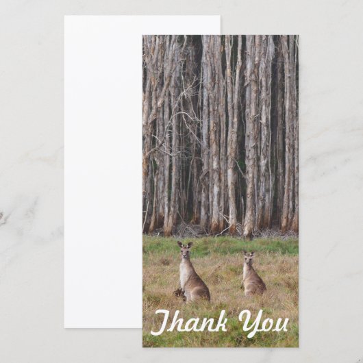 Fotokaart - Australische kangoeroes Bedankkaart (Voorkant / Achterkant)