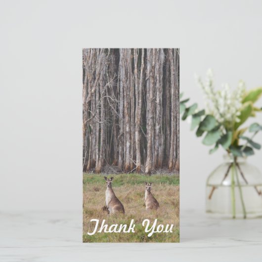 Fotokaart - Australische kangoeroes Bedankkaart (Staand voorkant)