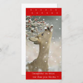 Fotokaart Feestdagenkaart (Voorkant / Achterkant)