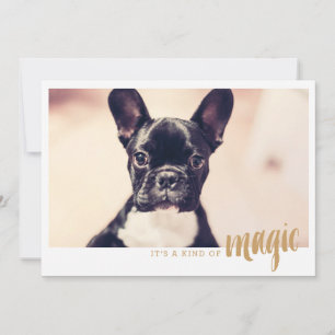 Fotokaart Het is een soort magie