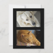 Fotokaart in elke kleur - HAMbyWG Feestdagenkaart (Achterkant)