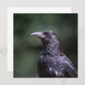Fotokaart met carrion crow-natuur (Voorkant / Achterkant)