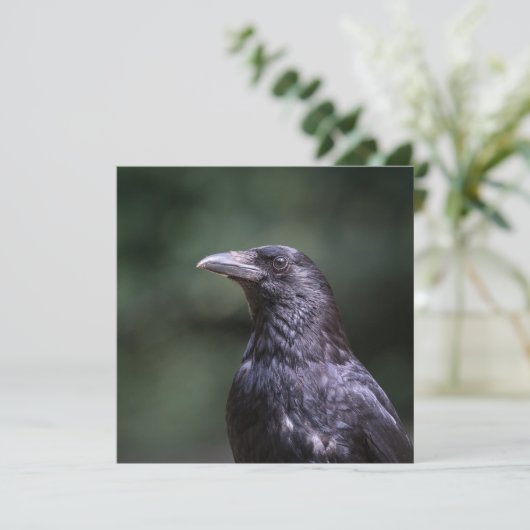 Fotokaart met carrion crow-natuur (Staand voorkant)