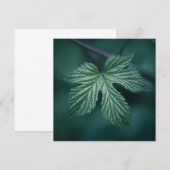 Fotokaart met Humulus Leaf natuur (Voorkant / Achterkant)