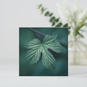 Fotokaart met Humulus Leaf natuur (Staand voorkant)