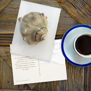 Fotokaart met knobbelhorenschelp briefkaart