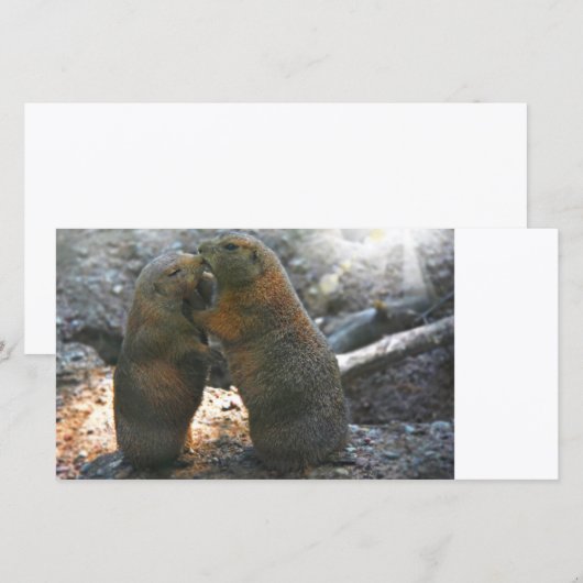 Fotokaart met leuk marmot koppel (Voorkant / Achterkant)