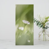 Fotokaart van Daisy natuur (Staand voorkant)