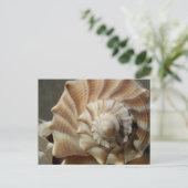 Fotokaart van de schelp van de bliksemwulk briefkaart (Staand voorkant)