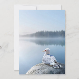 Fotokaart van meeuw, cadeau over kustnatuur, Binne Bedankkaart