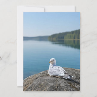 Fotokaart van meeuw, cadeau over kustnatuur, Binne Bedankkaart
