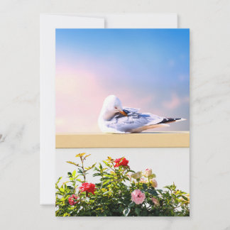 Fotokaart van meeuw, cadeau over kustnatuur, Binne Bedankkaart