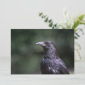 Fotokaart voor de natuur van kroonvogel (Staand voorkant)