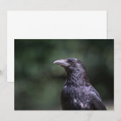 Fotokaart voor de natuur van kroonvogel (Voorkant / Achterkant)