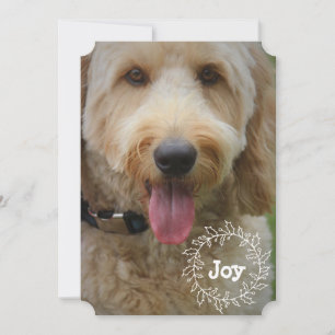 Fotokaart voor familie of gezelschapsdieren feestdagenkaart