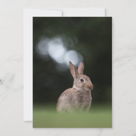 Fotokaart voor paasbunny-Natuur Save The Date