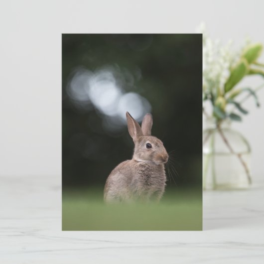 Fotokaart voor paasbunny-Natuur Save The Date (Staand voorkant)