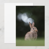 Fotokaart voor paasbunny-Natuur Save The Date (Voorkant / Achterkant)