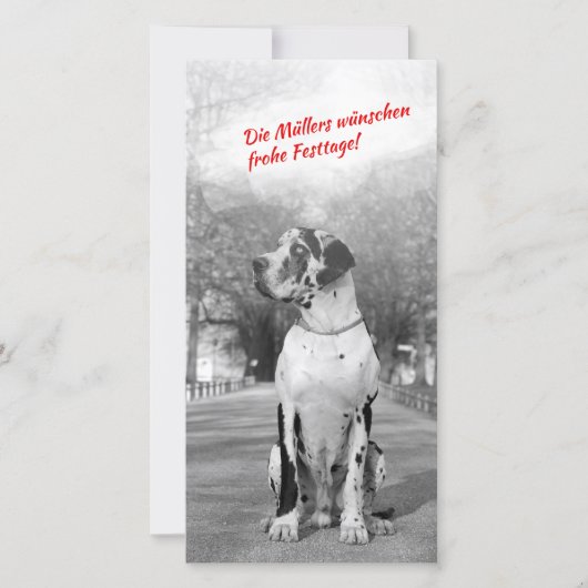 Fotokaarten van Kerstmis van great dane Feestdagenkaart (Voorkant)