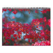 Fotokalender 2007 - Gepersonaliseerd Kalender (Hoes)