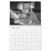 Fotokalender 2011 kalender (Mar 2026)