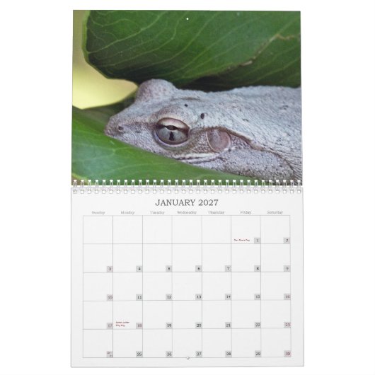 Fotokalender 2013 kalender (Jan 2027)