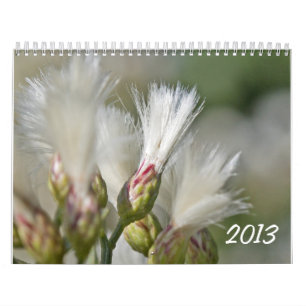 Fotokalender 2013 kalender