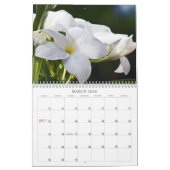 Fotokalender 2013 kalender (Mar 2026)