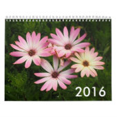 Fotokalender 2016 kalender (Hoes)